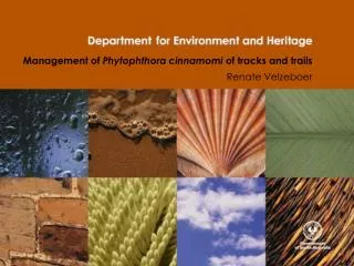 management of phytophthora cinnamomi of tracks and trails