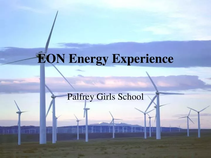 eon energy experience