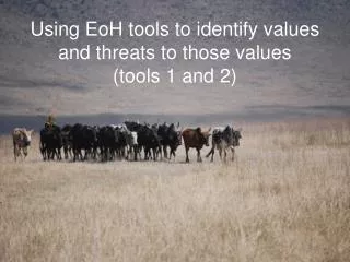 Using EoH tools to identify values and threats to those values (tools 1 and 2)
