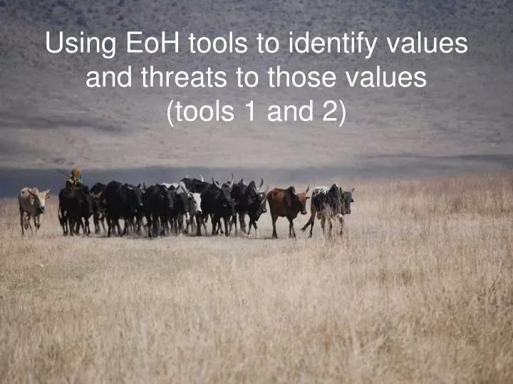using eoh tools to identify values and threats to those values tools 1 and 2
