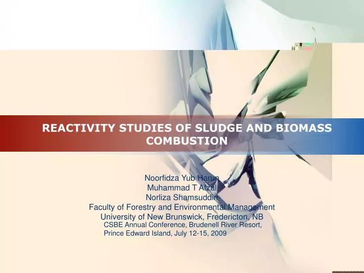 reactivity studies of sludge and biomass combustion