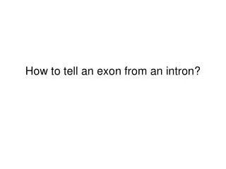 How to tell an exon from an intron?
