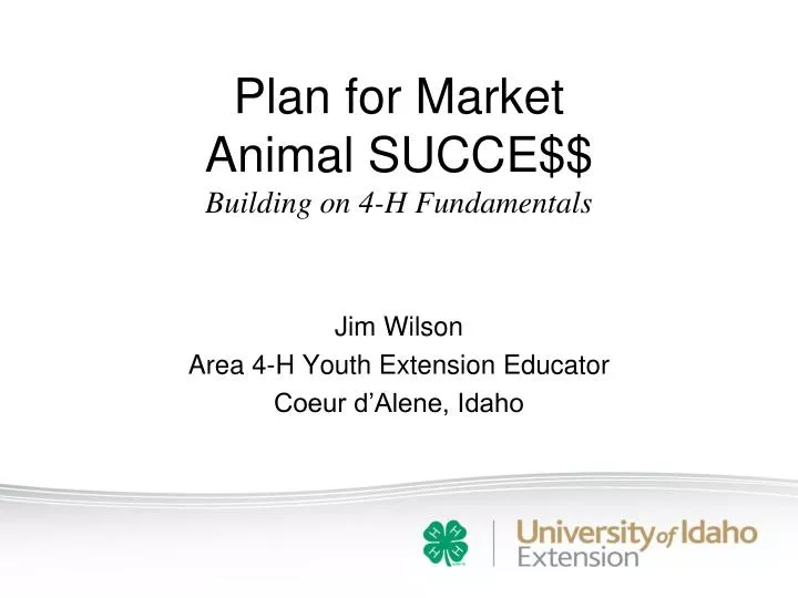plan for market animal succe building on 4 h fundamentals