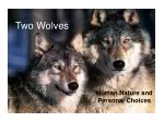 Two Wolves - slide 1