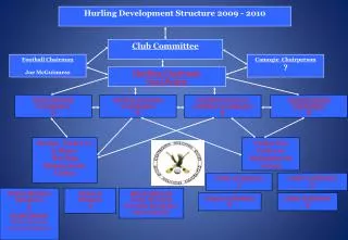 Hurling Development Structure 2009 - 2010