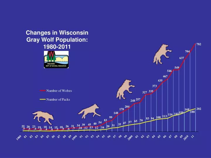 changes in wisconsin gray wolf population 1980 2011