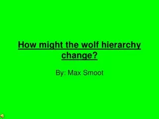 How might the wolf hierarchy change?