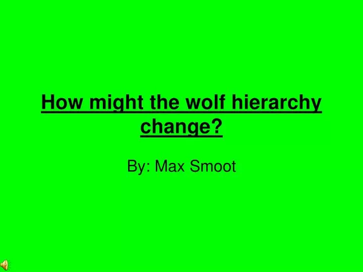 how might the wolf hierarchy change