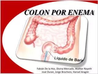 colon por enema