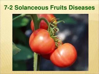7-2 Solanceous Fruits Diseases