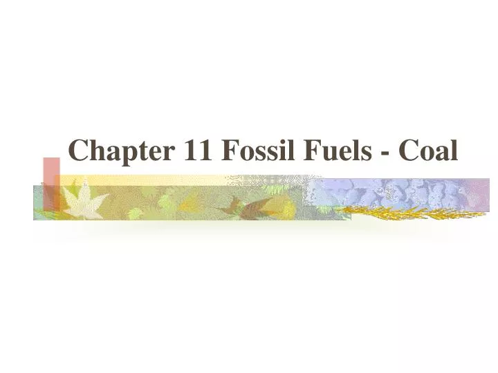 chapter 11 fossil fuels coal
