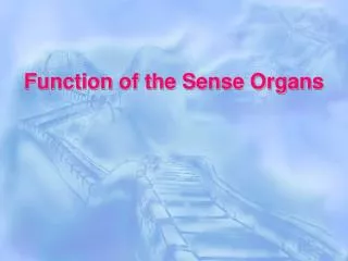 Function of the Sense Organs