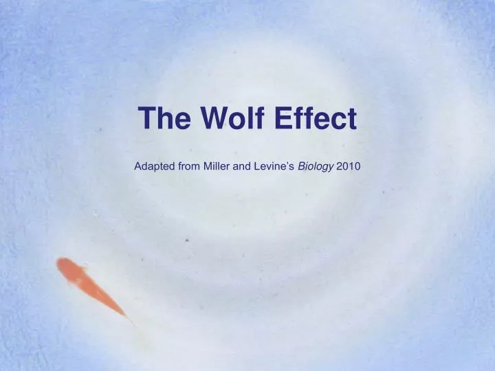 the wolf effect