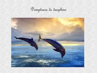 dompteuse de dauphins