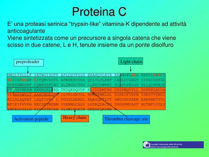 proteina c