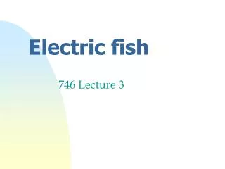 Electric fish