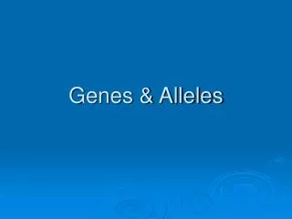 genes alleles