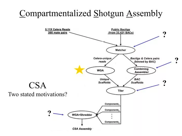 c ompartmentalized s hotgun a ssembly