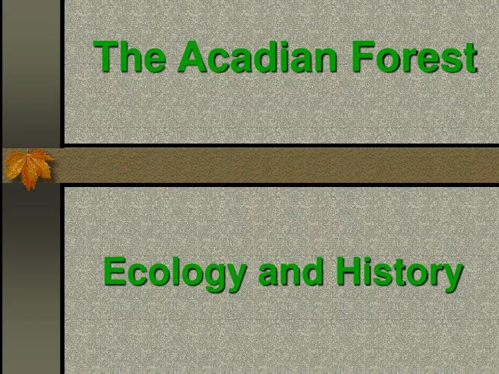 the acadian forest