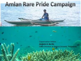 Amlan Rare Pride Campaign