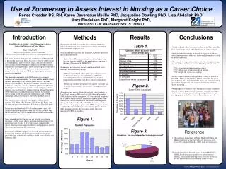 Bring Diversity to Nursing: Use of Zoomerang to Assess Interest in Nursing as a Career Choice