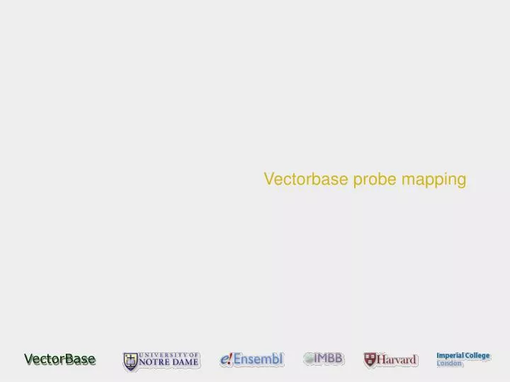 vectorbase probe mapping