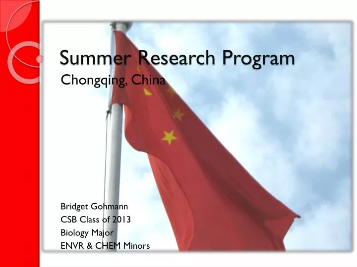 summer research program