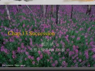 Chap.13 Succession