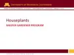 Houseplants - slide 1