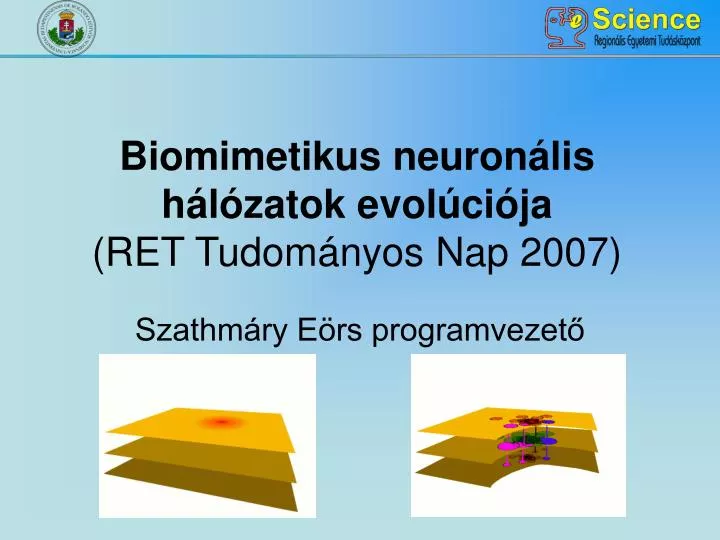 biomimetikus neuron lis h l zatok evol ci ja ret tudom nyos nap 2007