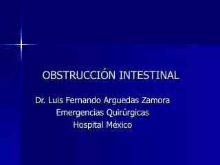 obstrucci n intestinal