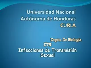 universidad nacional a ut noma de honduras c u r l a