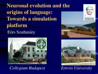 Neuronal evolution and the origins of language: Towards a simulation platform