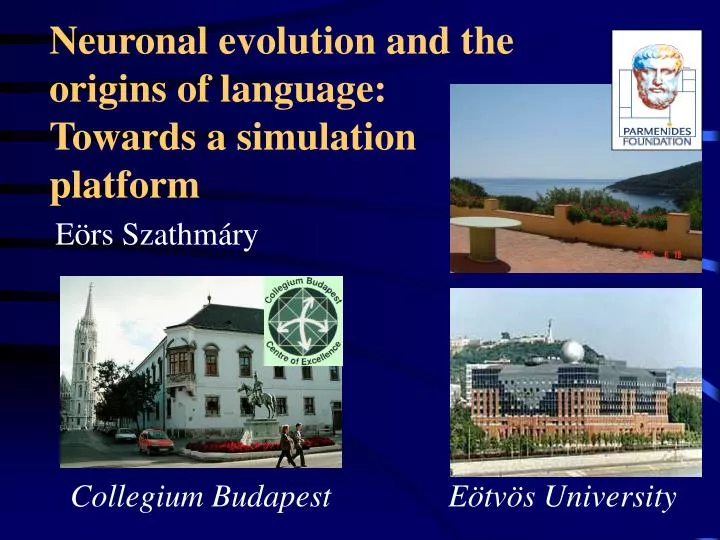neuronal evolution and the origins of language towards a simulation platform