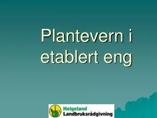 plantevern i etablert eng