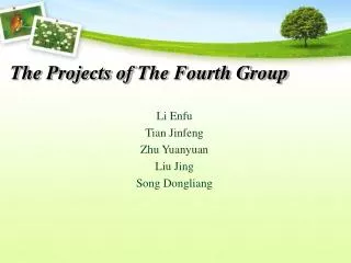 The Projects of The Fourth Group