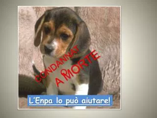 condannato