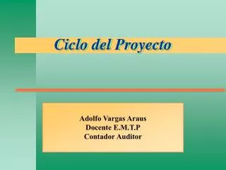 ciclo del proyecto