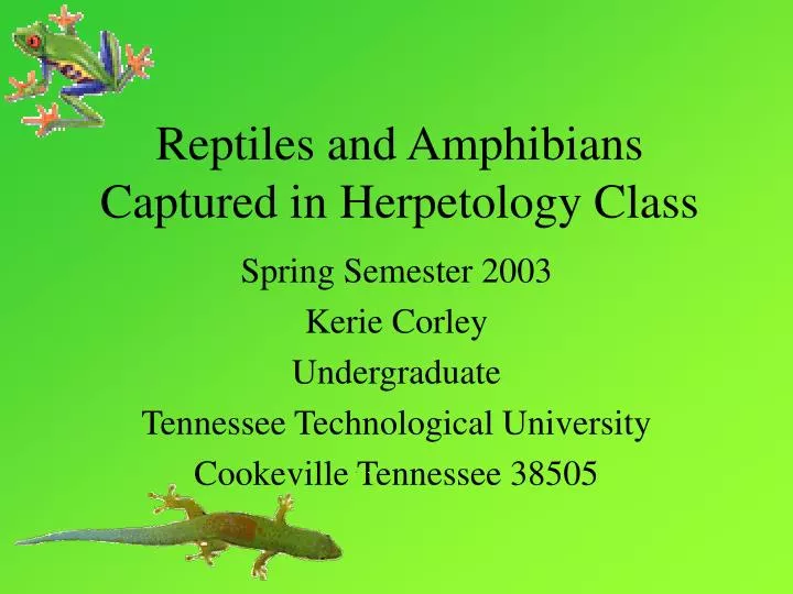 reptiles and amphibians captured in herpetology class