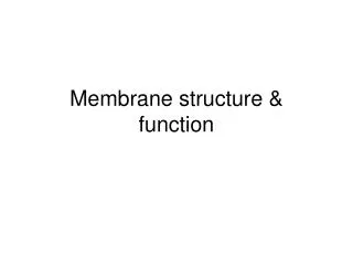 Membrane structure &amp; function