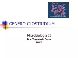 genero clostridium