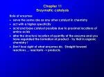 Chapter 11 Enzymatic catalysis