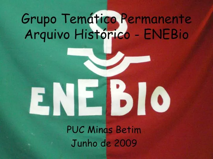 grupo tem tico permanente arquivo hist rico enebio