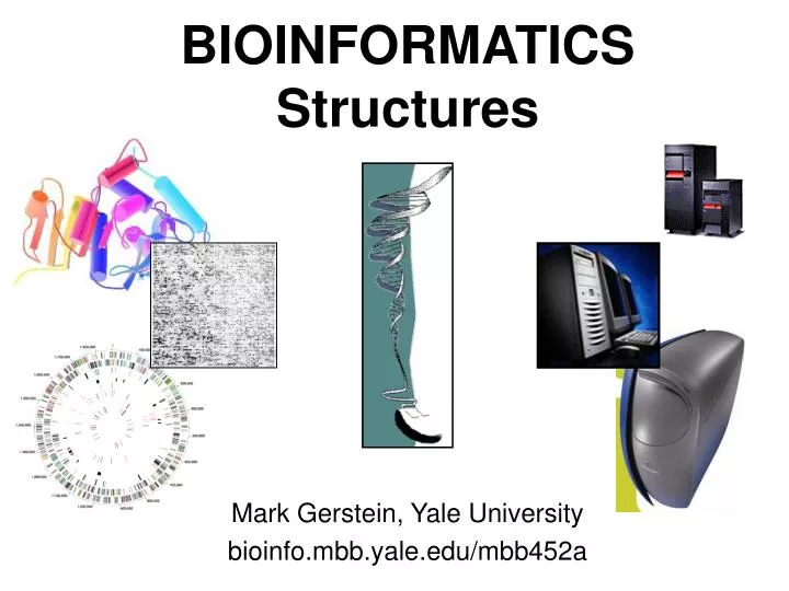 bioinformatics structures