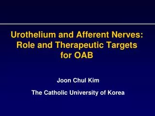 Urothelium and Afferent Nerves: Role and Therapeutic Targets for OAB