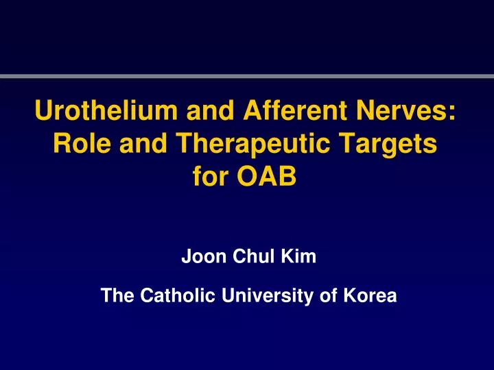 urothelium and afferent nerves role and therapeutic targets for oab