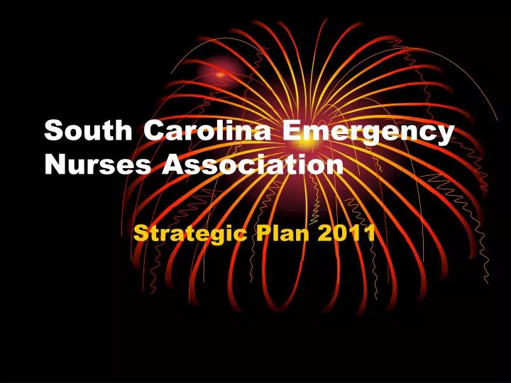south carolina emergency nurses association