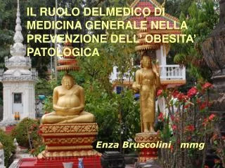mmg e obesit