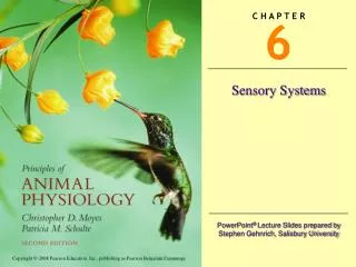 Sensory Systems