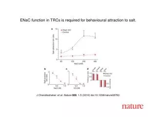 J Chandrashekar et al. Nature 000 , 1-5 (2010) doi:10.1038/nature08783